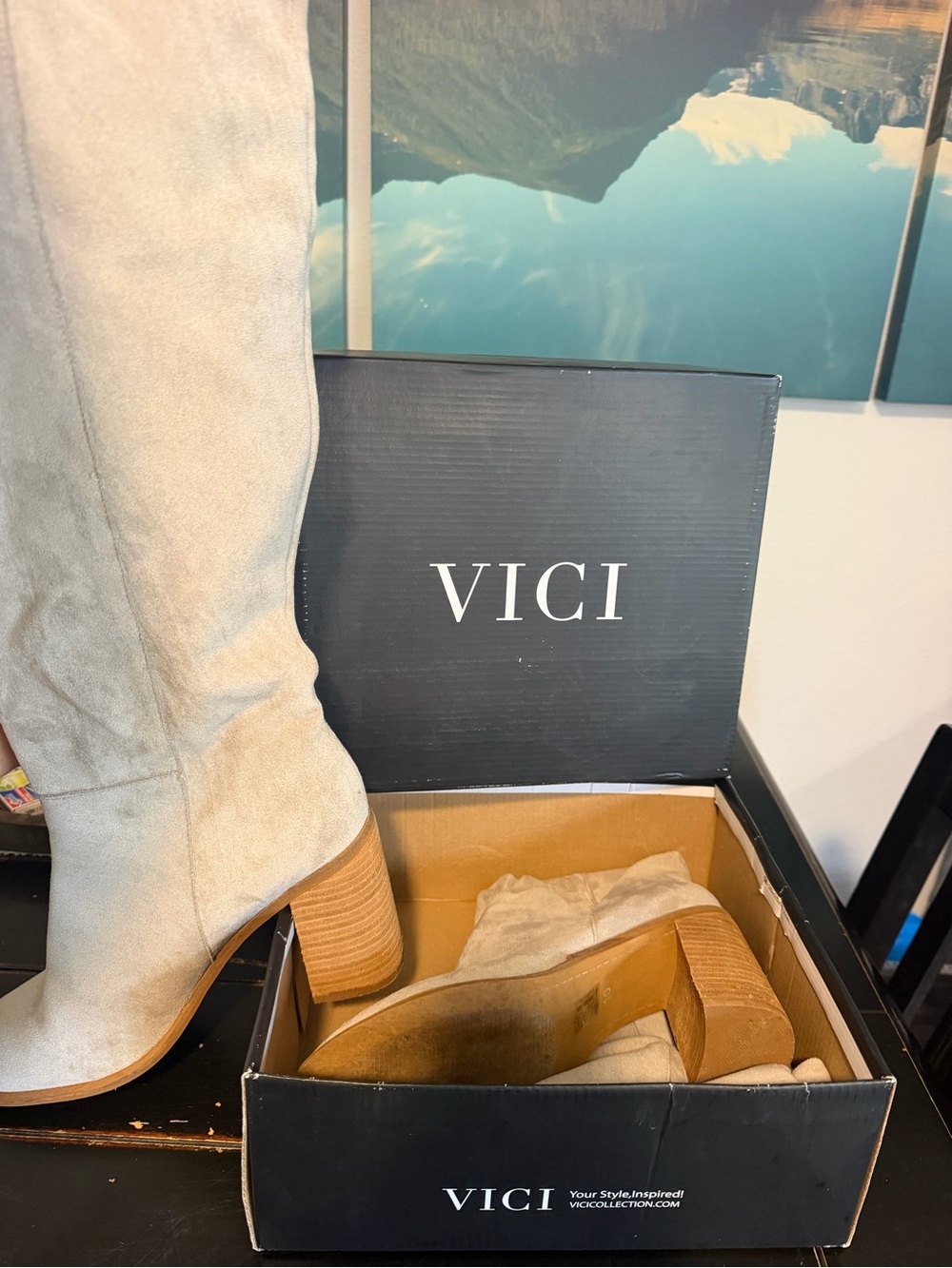 VICI Tall Suede Block Heel Boots in Beige